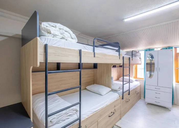 Catal * 伊斯坦布尔